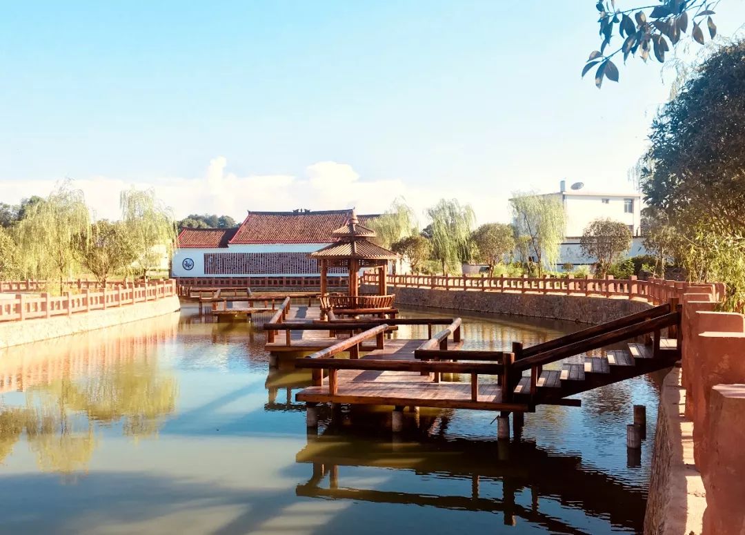 千年山中古村风景,千年香樟百年古村