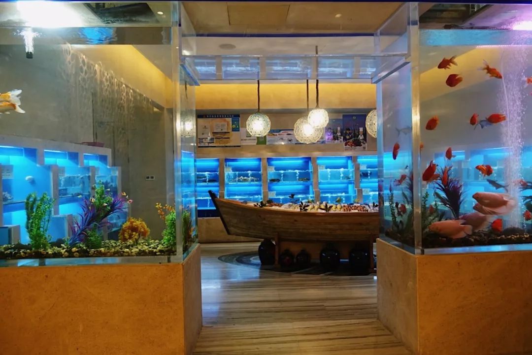 浙江体验感强的景点,浙江可以体验生活的地方