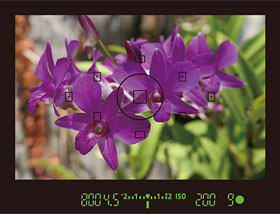 如何调整佳能单反相机参数设置,佳能单反相机基本使用教程