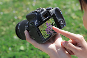 佳能单反相机操作使用设置教程,单反相机新手基础教程佳能