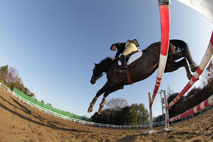 如何调整佳能单反相机参数设置,佳能单反相机基本使用教程