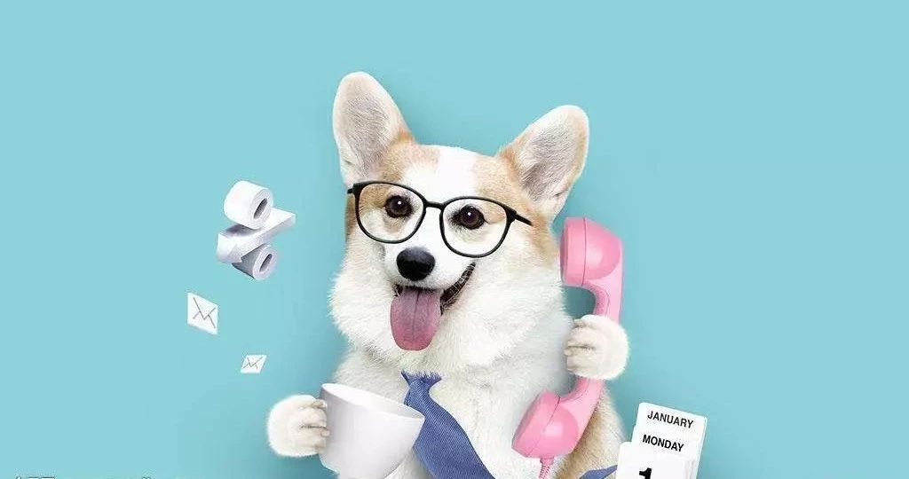 狂犬病毒真相揭秘,关于狂犬病你必须知道的真相