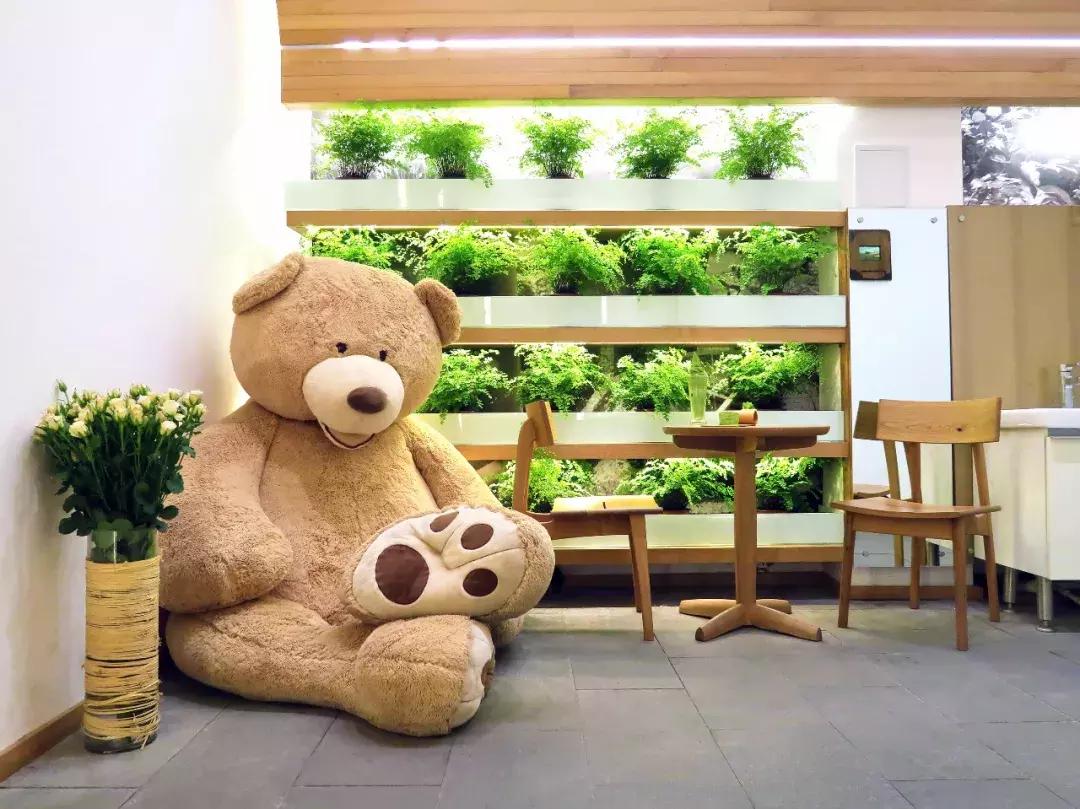 火爆的十款网红奶茶,推荐一款口碑最好的网红奶茶