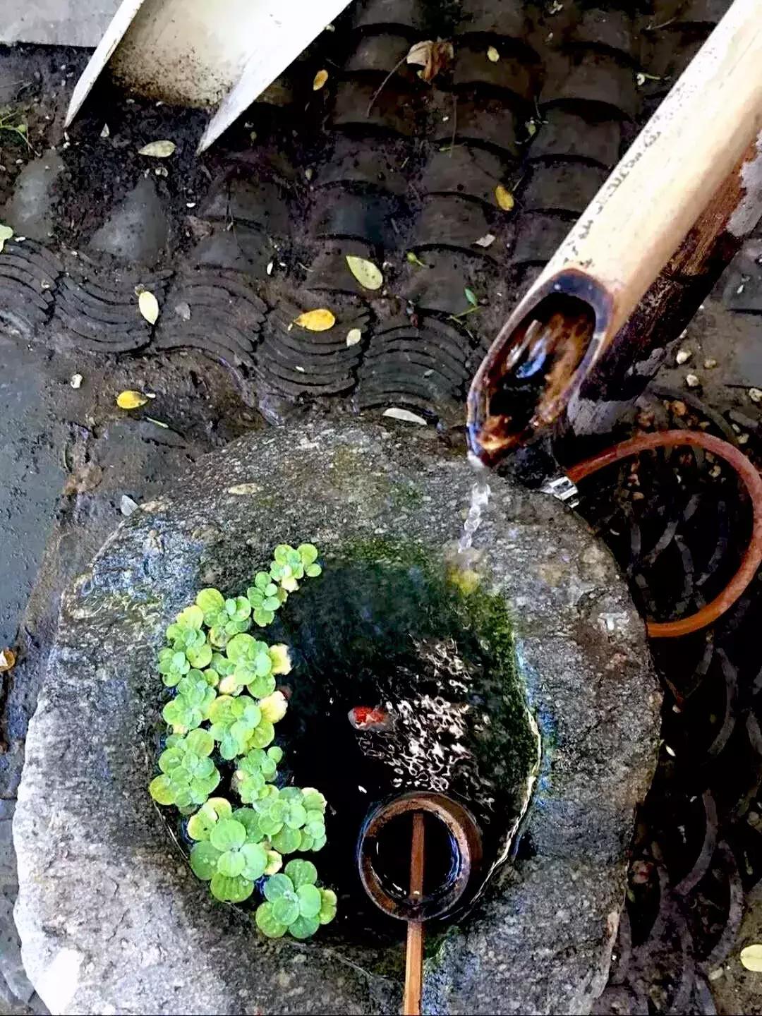 火爆的十款网红奶茶,推荐一款口碑最好的网红奶茶