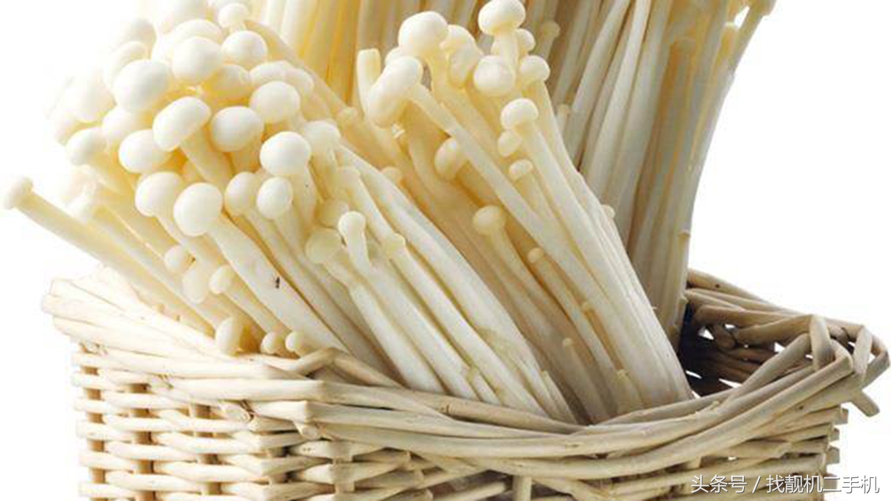 金针菇消化不了会直接拉出来吗,为什么金针菇不容易被消化