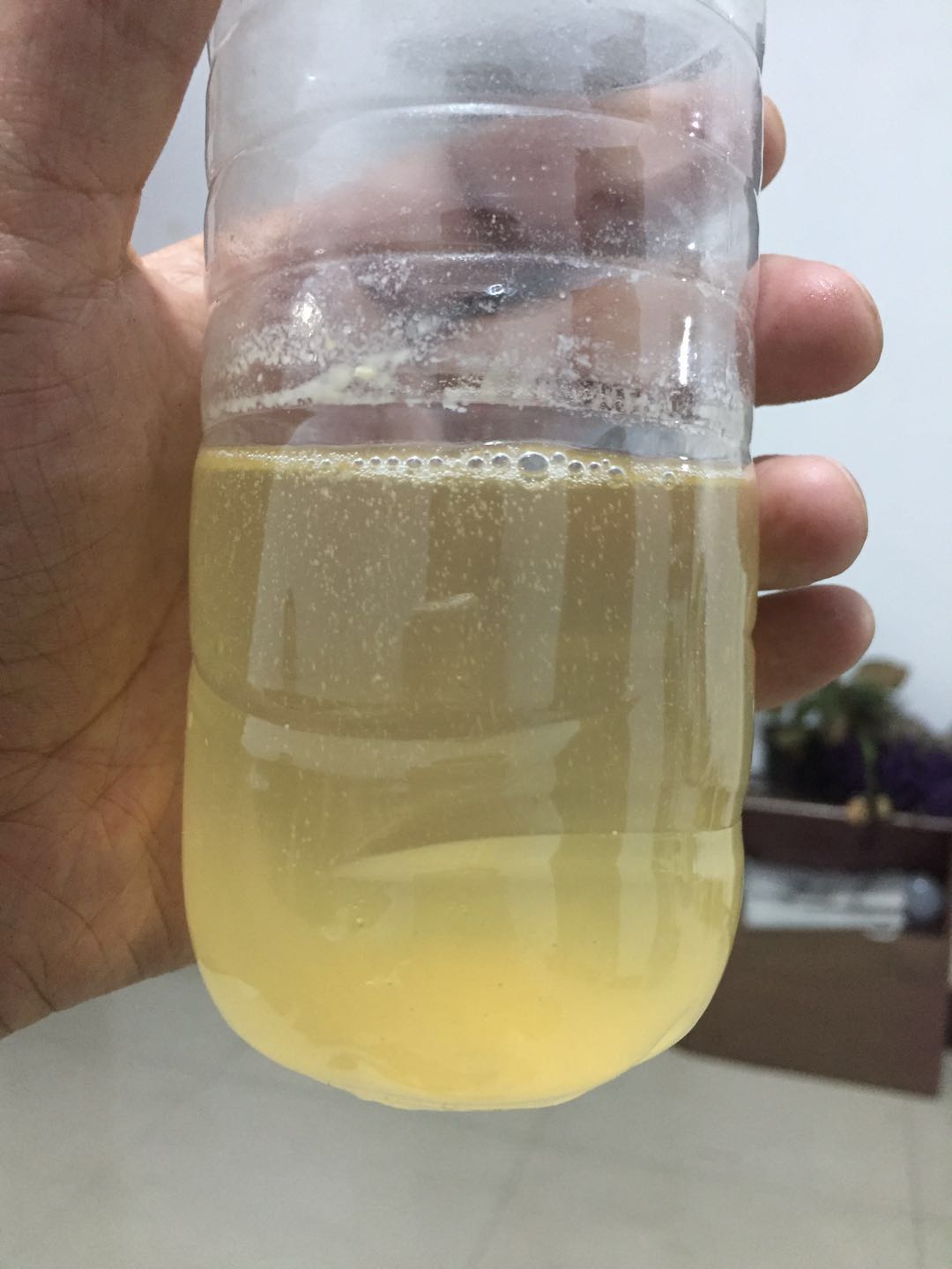 蜂蜜怎么分辨真假视频,结晶的蜂蜜怎么分辨真假