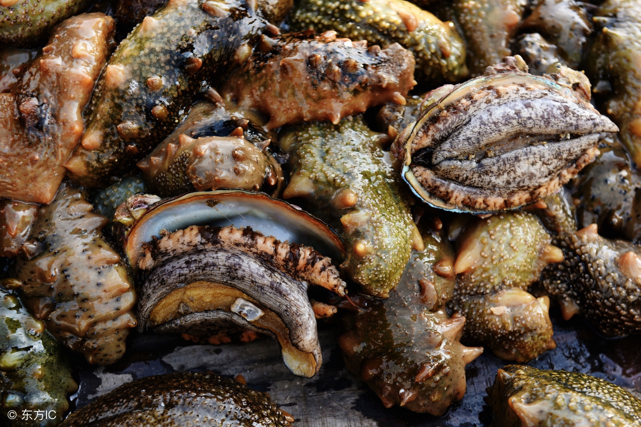 避暑胜地大连,避暑大连