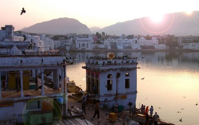 明星那些业余爱好：蔡依林的蛋糕多次获奖，郑中基摄影水平也很棒