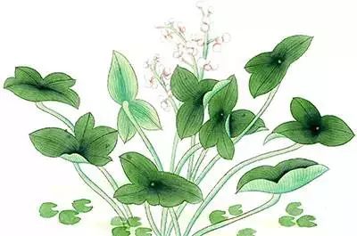 古人下雨天怎么度过,下雨古人在干嘛怎么说的