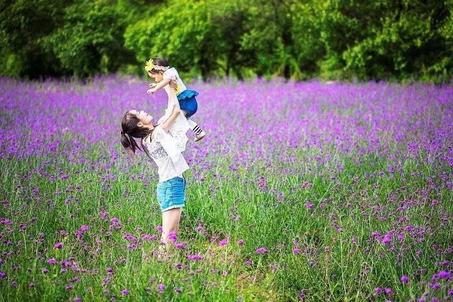 百里山水画廊四季花海,周末美好时光畅游千亩花海