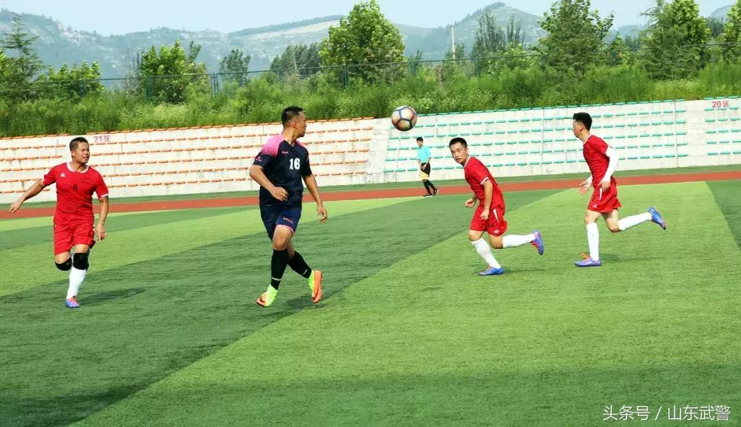 鍗＋鍔ㄥ姏鏉冻鐞冭禌涓存矀鏀槦,鍗＋鍔ㄥ姏