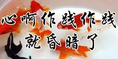 知足常乐每天都要保持开心的状态,知足常乐开心过好每一天