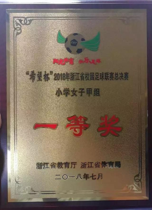 苏溪三小足球队,浙江省希望杯校园足球