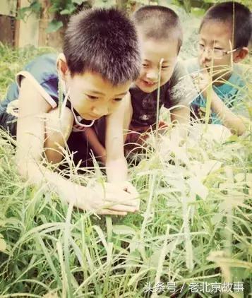 这么热的伏天儿，过去没有空调，北京人如何过的？