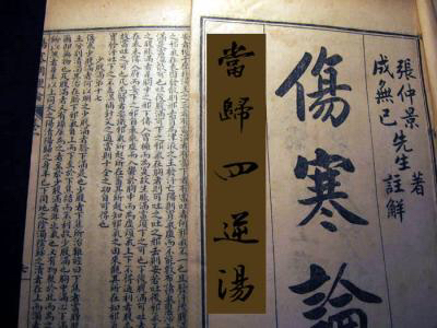 伤寒论学派有哪些,伤寒论理论体系