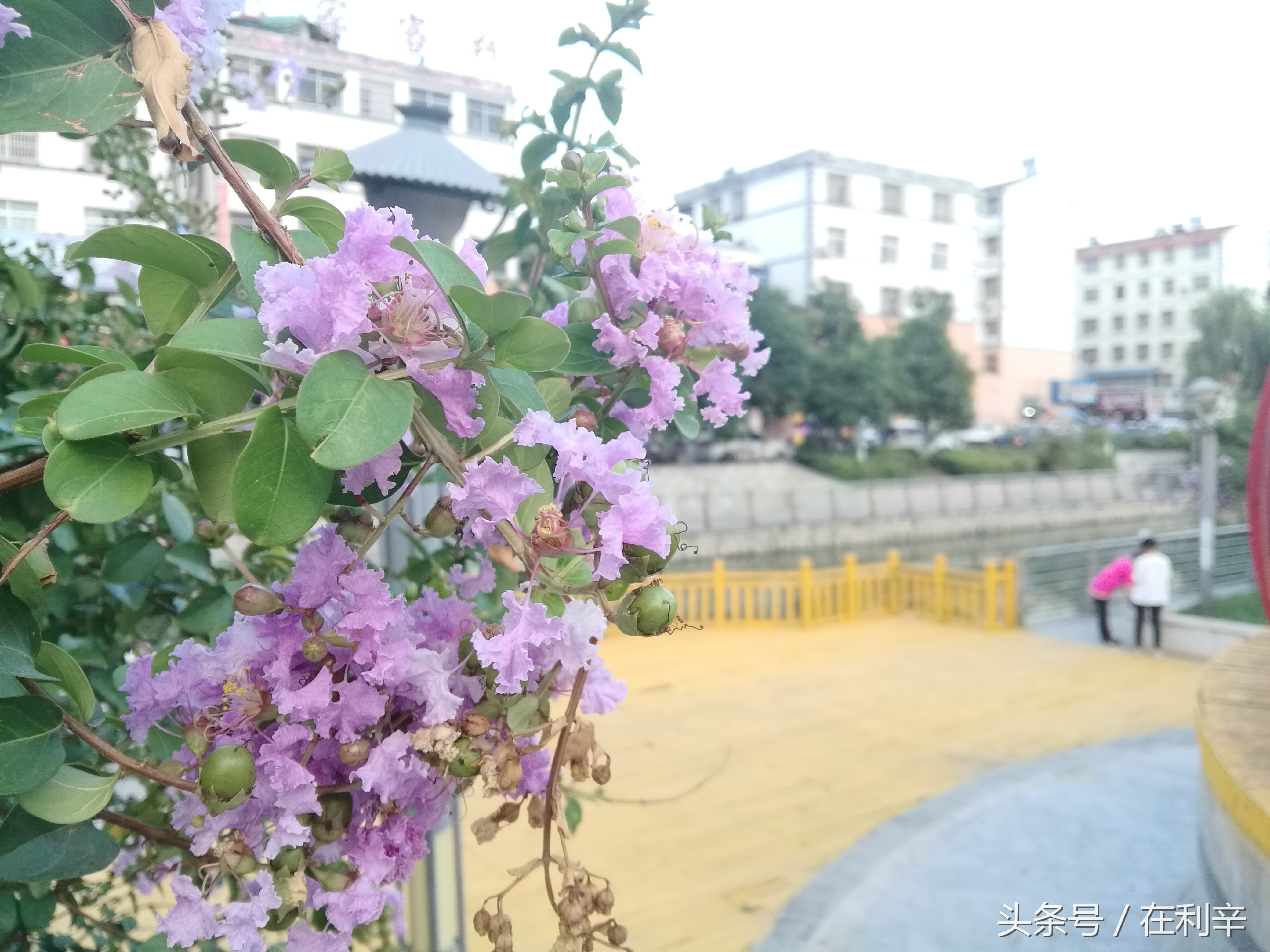 利辛日常生活,亳州利辛县日常生活