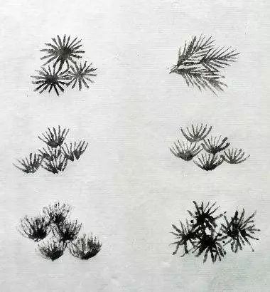 古代松树的画法,迎客松树的画法