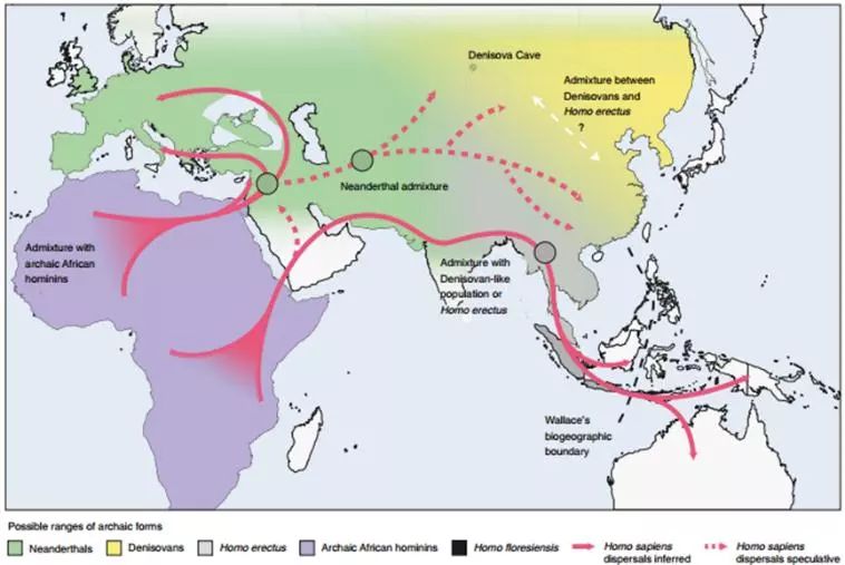 怀孕期间减肥导致胎儿畸形,怀孕减肥对胎儿有影响吗