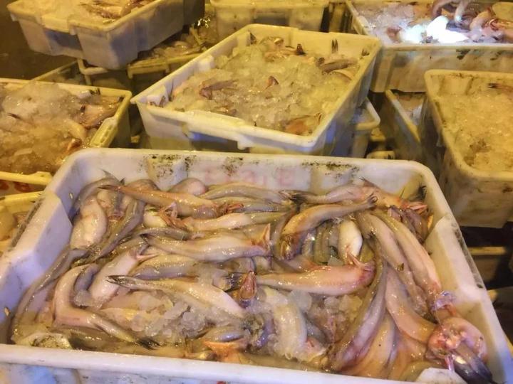 梭子蟹水潺,水潺和梭子蟹