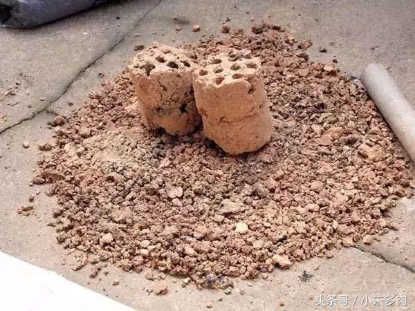 多肉颗粒土直播,多肉颗粒土批发