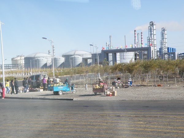 *疆新**(六)——梦牵大西北13