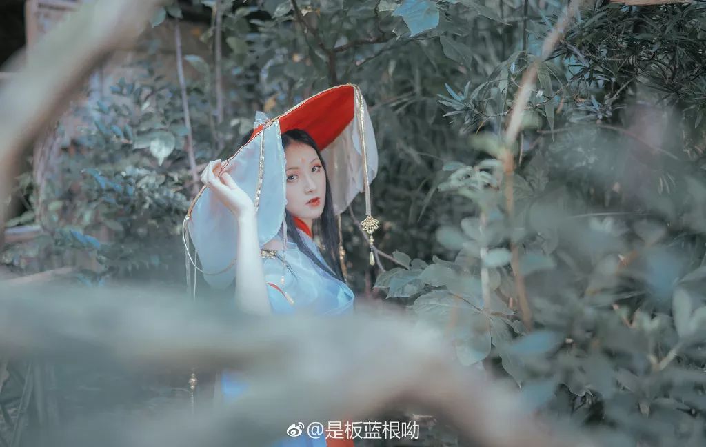 一周好粮丨晶晶亮，透心凉！解暑都靠这周的粮啦~