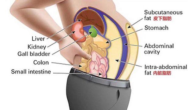 好物推荐每天扭一扭瘦出小肚腩,好物减肥神器
