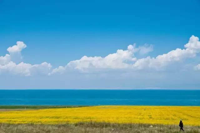 君凯商联网,君凯特产商城