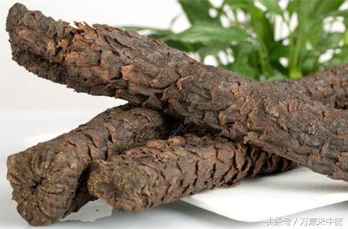 沙漠人参肉苁蓉什么季节有,沙漠人参肉苁蓉的做法