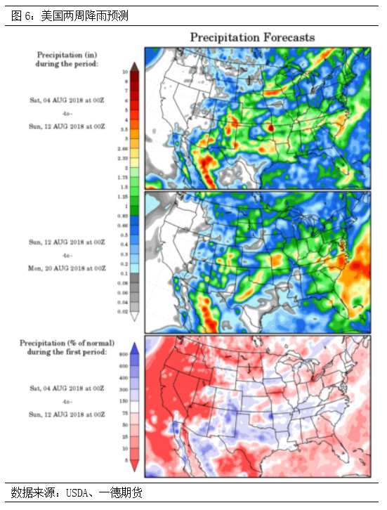 棉花期货郑棉跟随美棉涨跌,棉花郑棉期货最新走势图