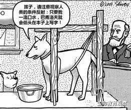 科学家如何发现人和大猩猩间有生殖隔离的