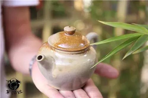 紫陶壶适合泡大红袍吗,紫陶壶泡生茶方法