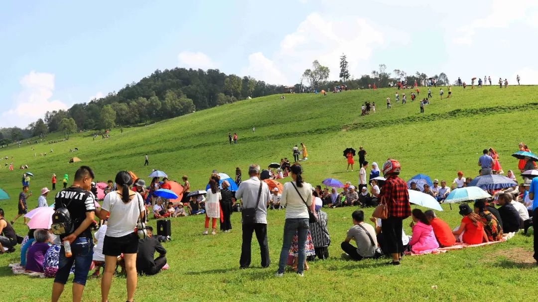 人从众的模式,人从众