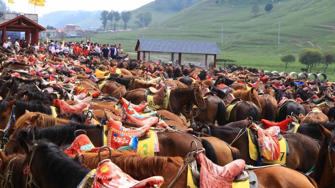 人从众的模式,人从众