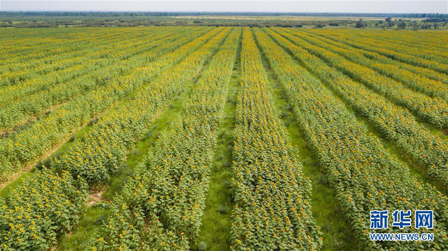 天空之眼瞰库布其沙漠