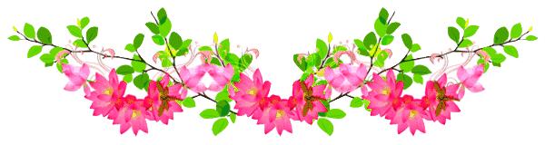 今天是8月9日，百年难遇的平安日，打开一年四季都平安！