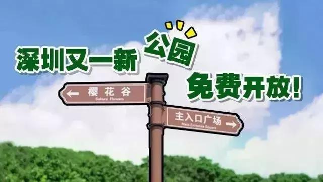 深圳最新的一个超级公园,深圳美景免费景点