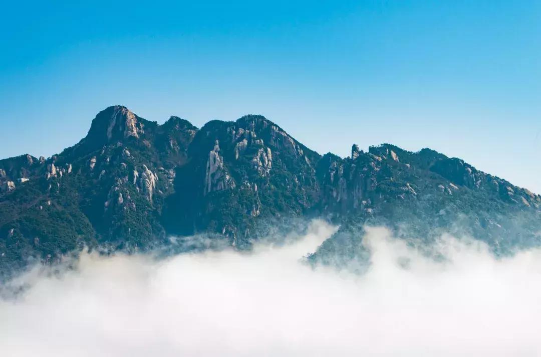 我被录取了,我被录取了图片