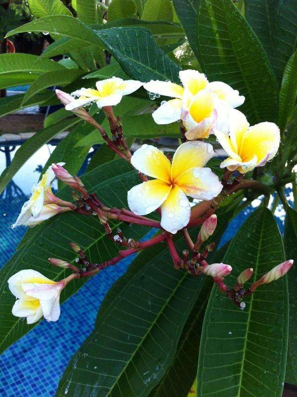 三亚三日游带孩子攻略,三姐妹游三亚