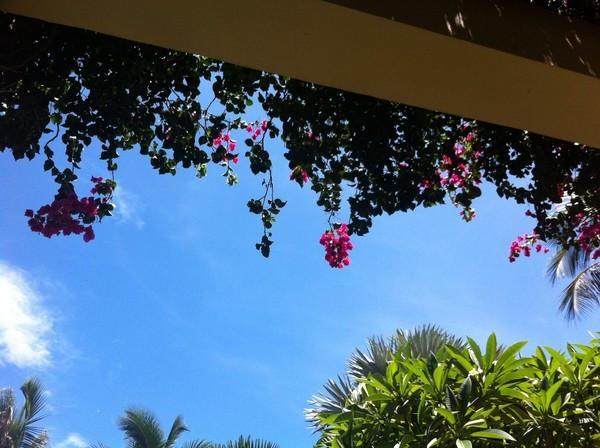 三宝妈妈三亚旅游,三宝妈妈三亚