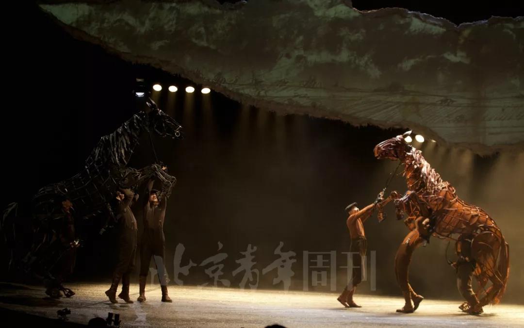 我采访了“马头”、“马前腿”和“马后腿”｜《战马》幕后