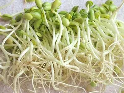 遂宁文化介绍,遂宁的人文历史