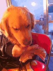 遂宁特色文化,遂宁独特的文化与习俗