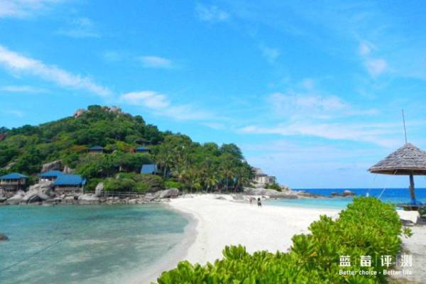 蓝莓评测美国蓝莓,蓝莓评测