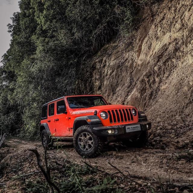 柴油版比汽油版的车哪款贵,为什么同类型车柴油更贵