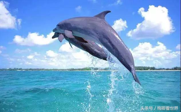 毛里求斯东西南北部哪个最好玩,毛里求斯攻略