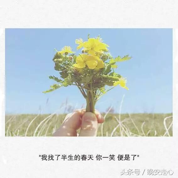 对爱人说的情话最暖心的短句,表白爱人的情话句句真情实感