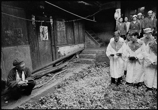 云南奇葩,云南奇葩视频