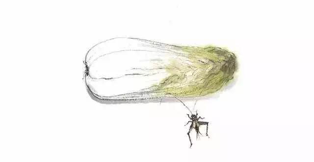 对吃的特别感兴趣的人是什么性格,对吃比较挑的人什么性格