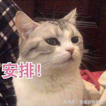 震惊!我用1瓶粉底液的价格买到最潮手包!